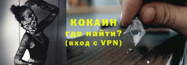 сатива Богородицк