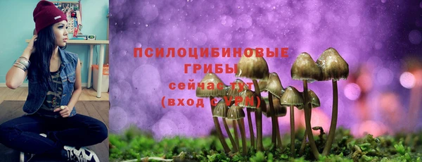 ешки Белоозёрский