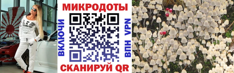продажа наркотиков  Карпинск  blacksprut ссылка  Галлюциногенные грибы ЛСД 